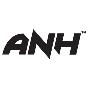 ANH-Enterpirse-International-Limited-Logo